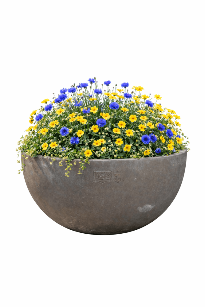 Coupe ronde moderne en terre cuite d’Impruneta – design épuré et qualité artisanale italienne